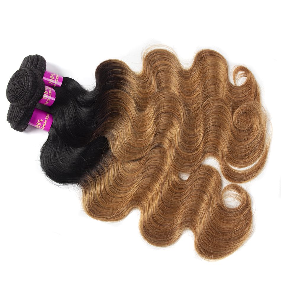 Ombre T1b/27 Brazilian Body Wave Bundles With Closure