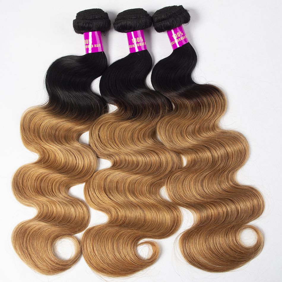 Ombre T1b/27 Brazilian Body Wave Bundles With Closure