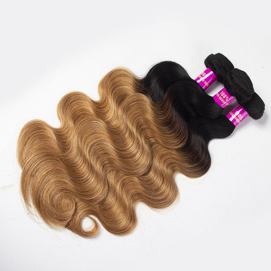 Ombre T1b/27 Brazilian Body Wave Bundles With Closure